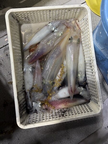 機関紙よかネット No.159